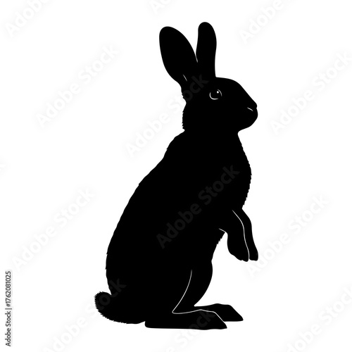 Black rabbit silhouette standing alert bunny white background