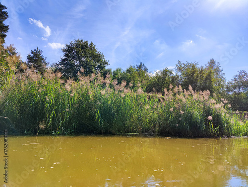 spływ rzeką Barcz w Dolina Baryczy