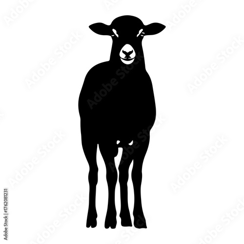 Black sheep standing front view silhouette animal