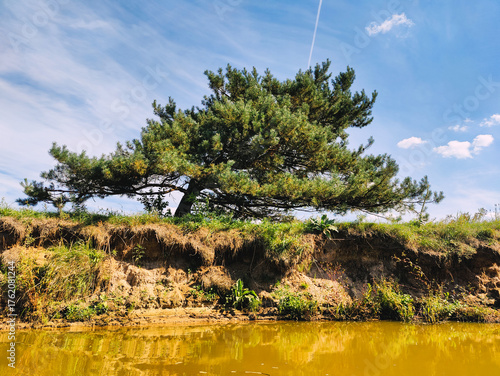 spływ rzeką Barcz w Dolina Baryczy