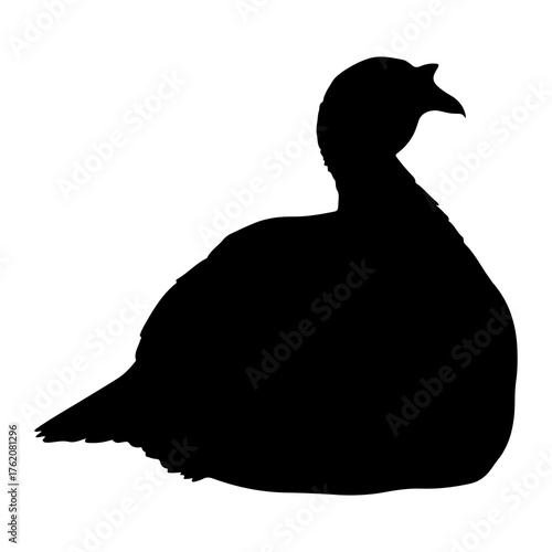 Black silhouette of a duck white bird