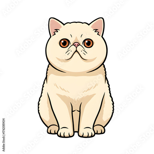 Exotic Shorthair