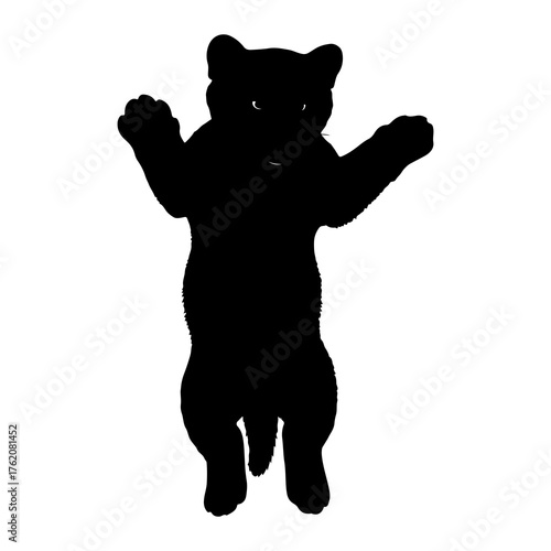 Black silhouette of a playful cub white background