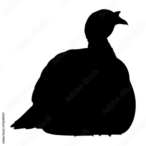 Black silhouette of a plump turkey bird white