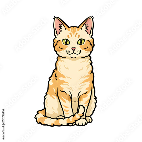 LaPerm Cat