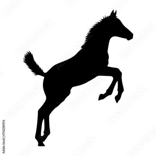 Black silhouette of a rearing horse foal white