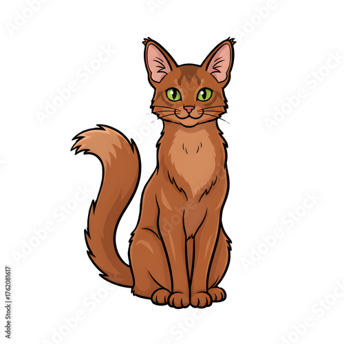 Somali Cat