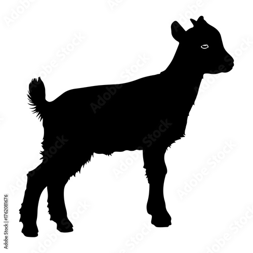 Black silhouette of a young goat standing white background