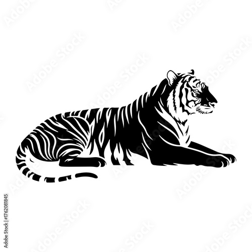Black tiger resting profile white animal
