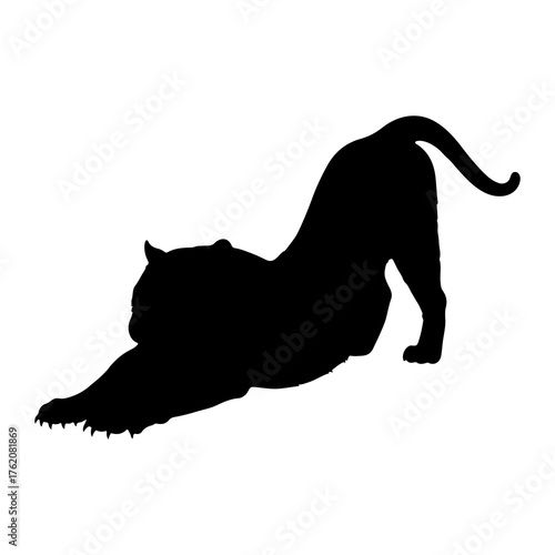 Black tiger stretching on white background silhouette