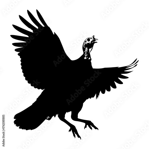 Black turkey bird in flight wings feathers