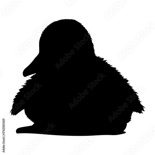 Fluffy bird silhouette black white