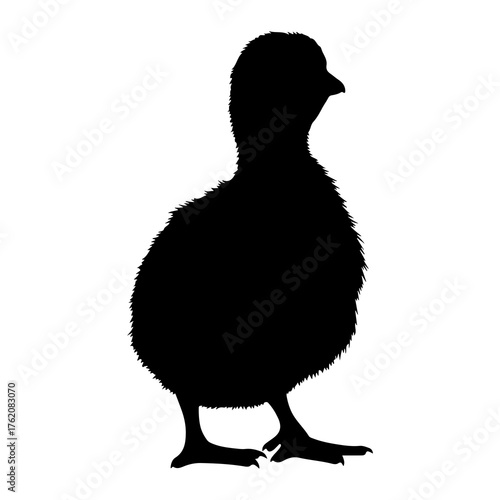 Fluffy baby bird silhouette black white