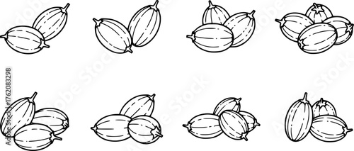 outline silhouette Ajwain fruit icon set
