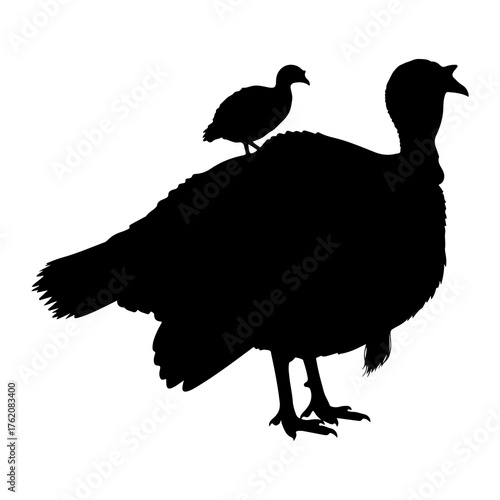 Large turkey with small bird silhouette black white