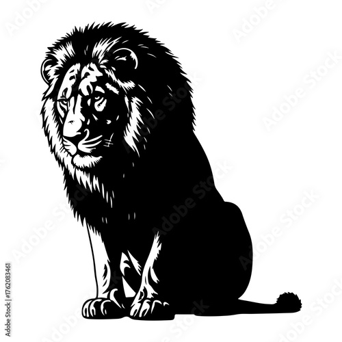 Majestic lion sitting black silhouette animal wildlife