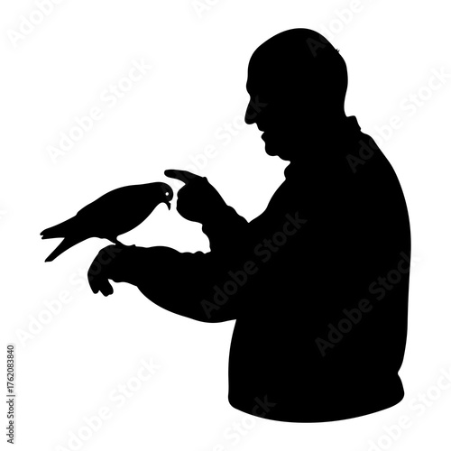 Man pointing at bird on arm silhouette falcon