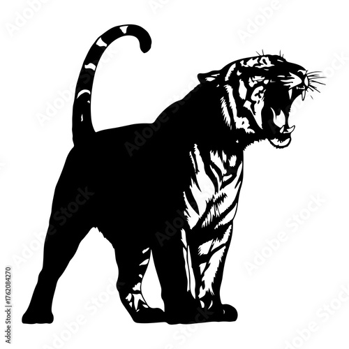 Roaring black tiger silhouette white