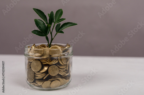Image of a small plant grow...