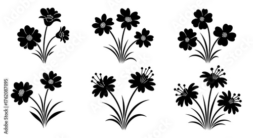 Set of Various Simple Cosmos Flowers and Daisy Blooming with Stems and Leaves Collection