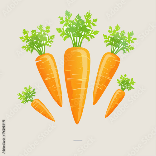 A bright orange carrot vector with simple, playful shapes and clear outlines, perfect for kids’ educational designs about healthy foods and nature