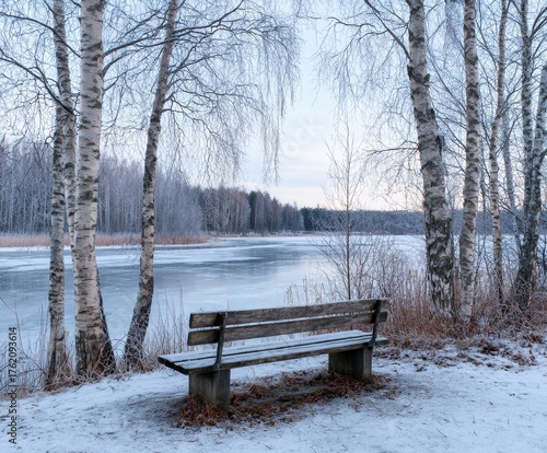 A weathered wooden bench sits on snowcovered ground near birch trees and a frozen lake in a serene winter landscape