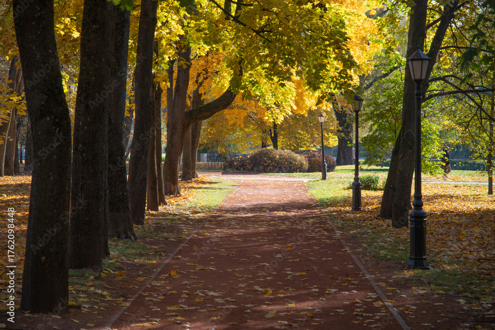 Naklejka premium city autumn park in clear sunny weather