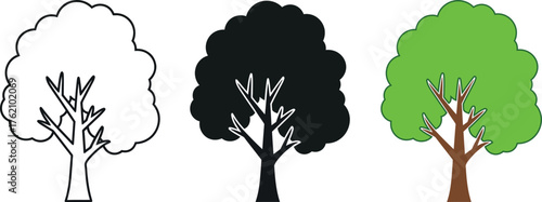 Three styles of a stylized tree outline silhouette and colored artistic representation vector
