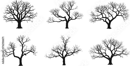 Leafless tree silhouettes, winter forest elements, bare branches, seasonal nature graphics, isolated trees, vector illustration, landscape design, botanical art, editable assets