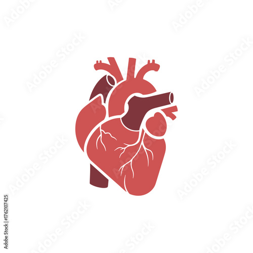 Red anatomical heart icon for medical and health education designs