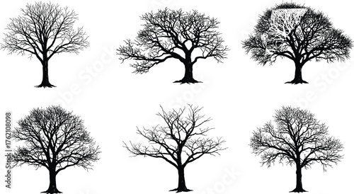 Leafless tree silhouettes, winter forest illustration, bare branches clipart, seasonal nature design, botanical vector art, isolated tree graphics