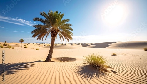 Vast Desert Landscape with Palm Tree Under Bright Sunlight.