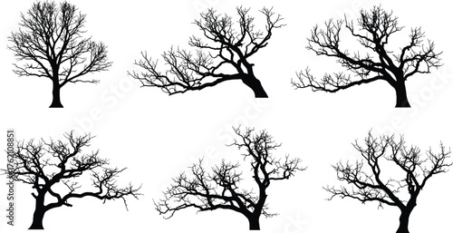 Leafless tree silhouettes, winter forest illustration, bare branches, botanical art, nature design, seasonal landscape, black trees, isolated, minimal, graphic