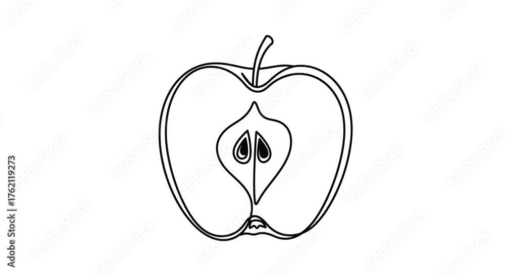 Fototapeta premium Apple slice with seeds fruit food