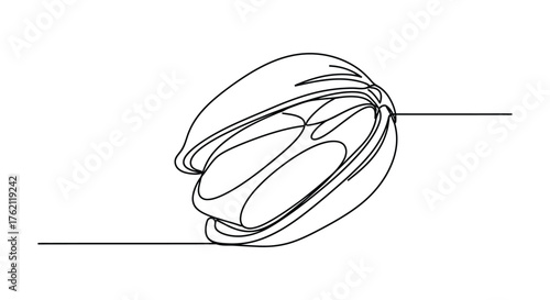 Abstract continuous line drawing of a fruit line art