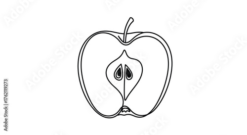 Apple slice with seeds fruit food