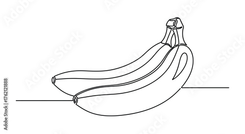Bunch of bananas line art fruit food