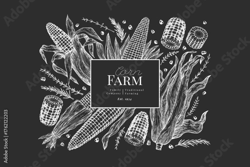 Hand Drawn Vector Sweet Corn Illustration. Not AI Generated. Autumn Seasonal Chalk Board Background. Fall Season Farm Banner. Vintage Harvest Design Template.