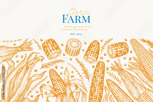 Hand Drawn Vector Sweet Corn Illustration. Not AI Generated. Autumn Seasonal Background. Fall Season Farm Banner. Vintage Harvest Design Template.
