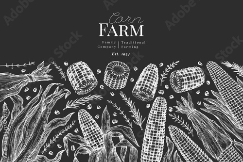 Hand Drawn Vector Sweet Corn Illustration. Not AI Generated. Autumn Seasonal Chalk Board Background. Fall Season Farm Banner. Vintage Harvest Design Template.