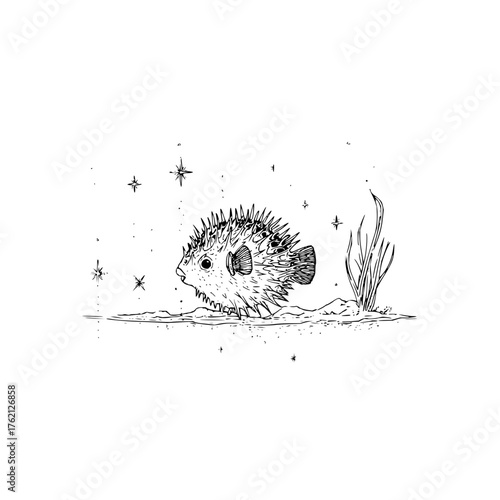 A detailed line drawing of a pufferfish on the sea floor with stars and some seaweed in the background