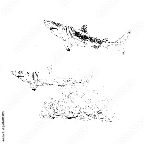 Two sharks in black and white one above the other with a blurry effect at the bottom of the image