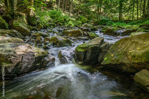 The picture shows a stream running through a forest that is filled with rocks and moss-covered boulders.Water flows over the rocks, creating smaller cascades, which is typical of mountain streams.