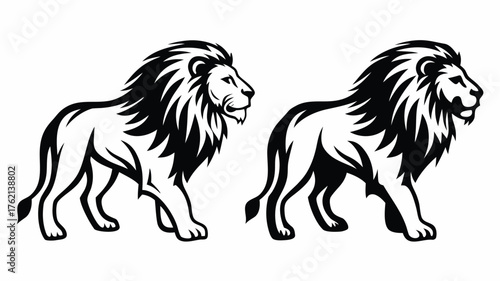 Two stylized black and white lions walking side by side with detailed manes and strong postures displayed | editable eps vectors silhouette