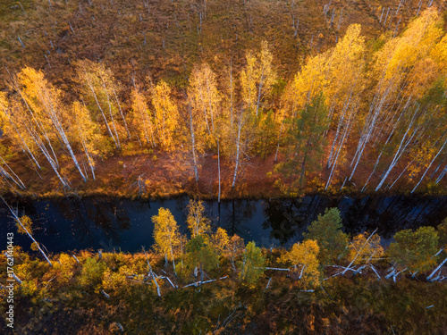 Top down view of river and colorful forest at autumn day.