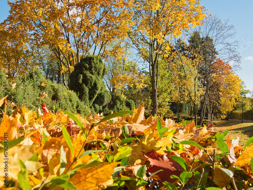 Barwy jesiennego dnia.