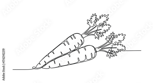Two carrots with leafy tops vegetables produce