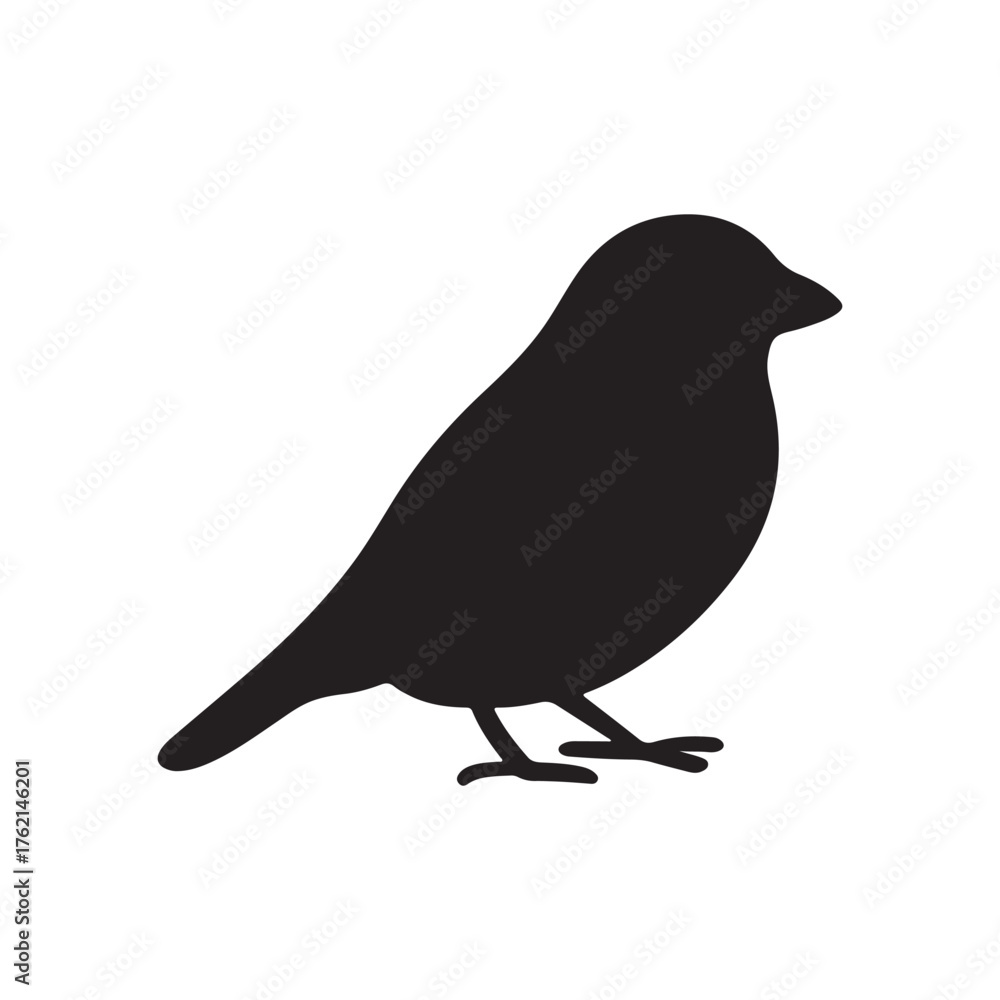 Obraz premium A small bird standing in silhouette