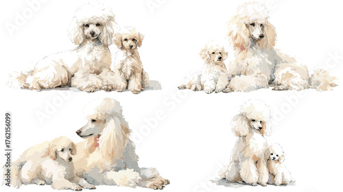 Elegant watercolor illustration of white poodle dogs with puppies. Soft tones and fluffy fur details, ideal for pet prints, animal wall art, greeting cards, and dog lover design projects.