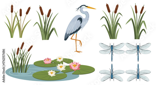 Elegant heron stands by serene water lilies and dragonflies in peaceful marshland scene